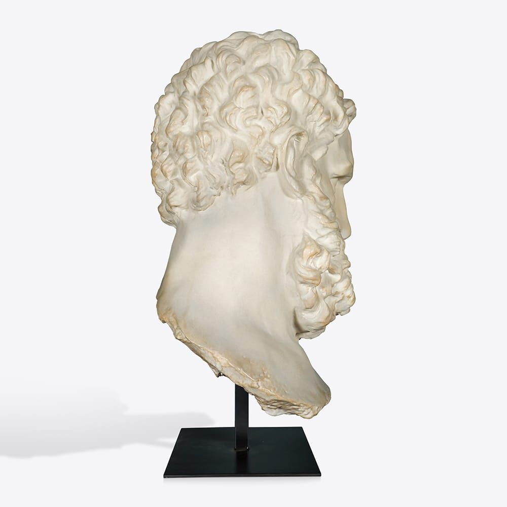 Giant Hercules Bust