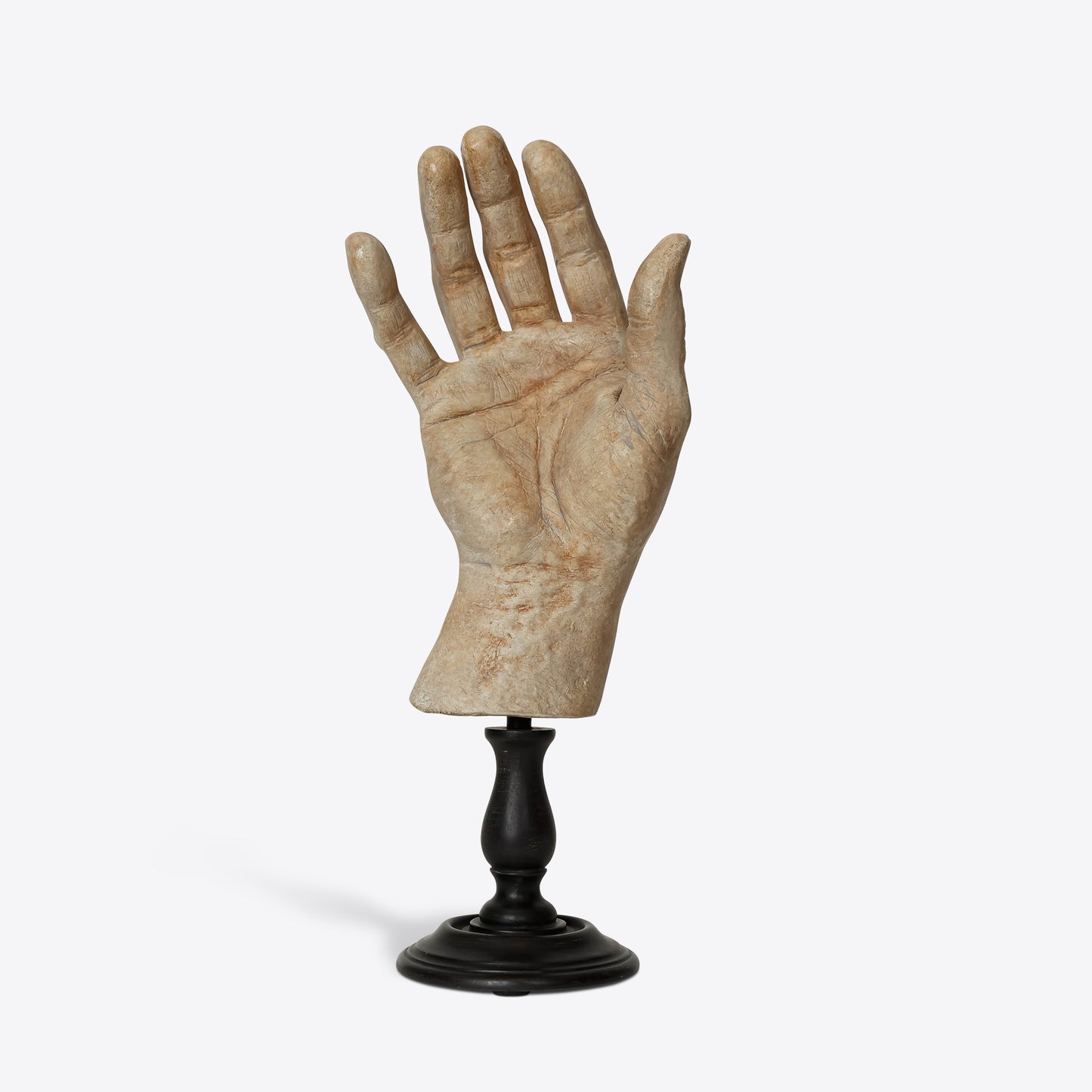 Hand Study Collection