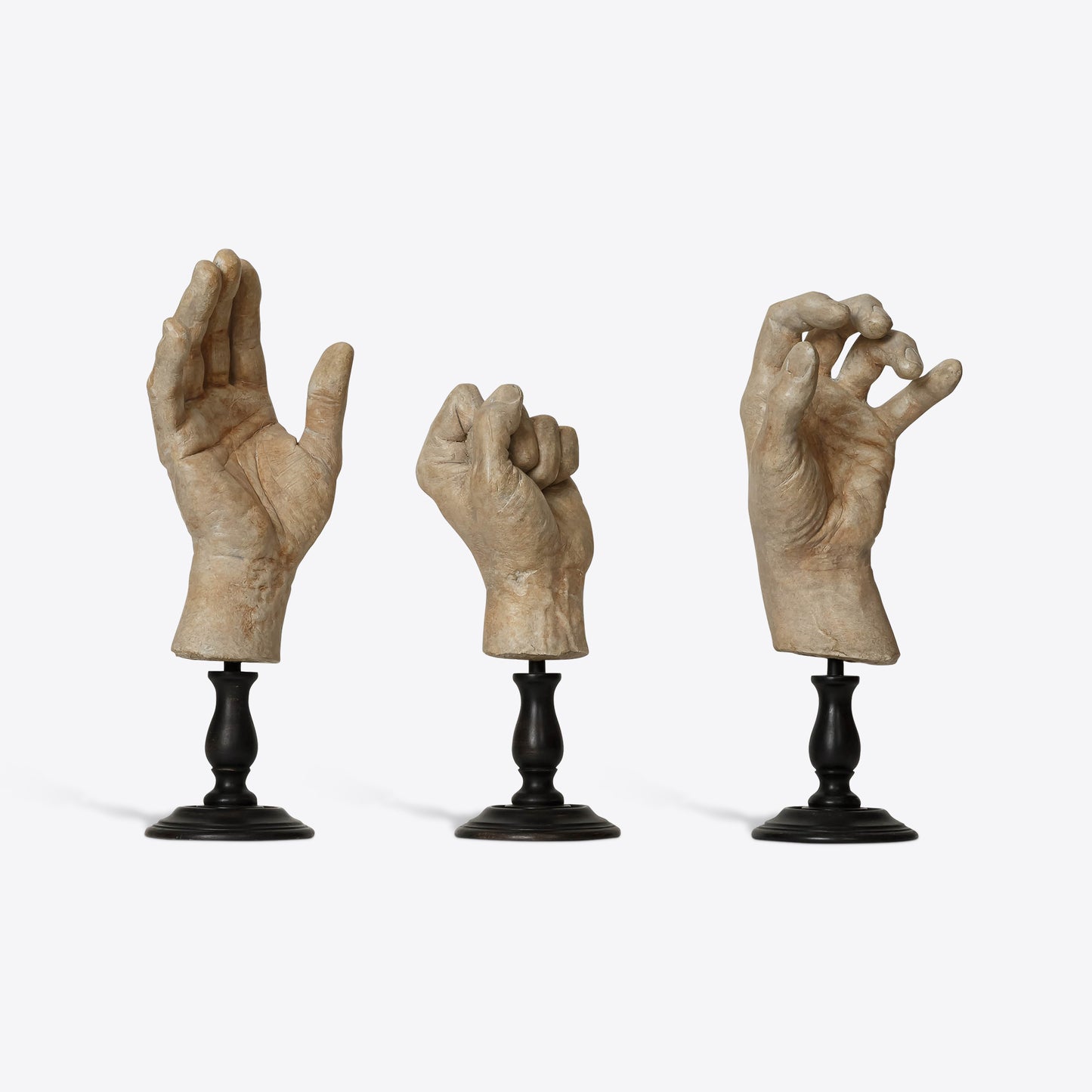 Hand Study Collection