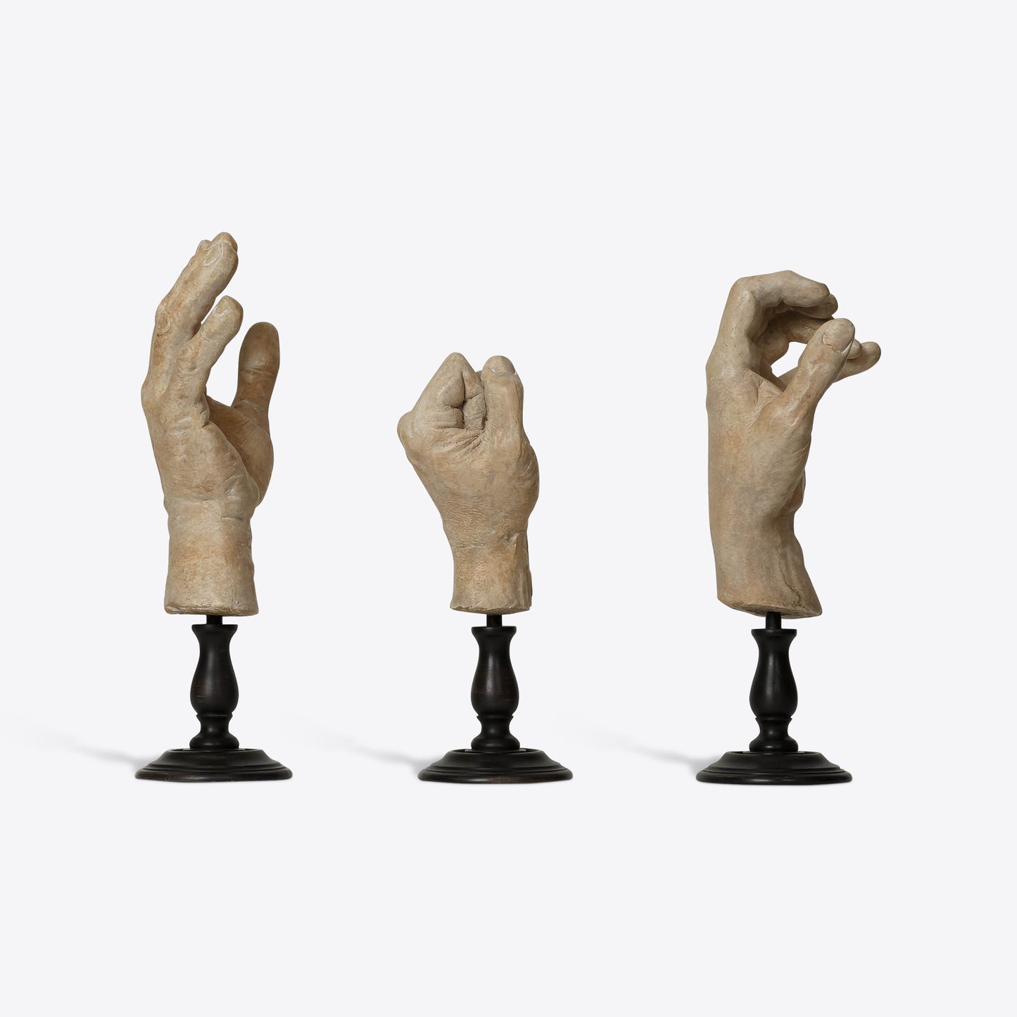 Hand Study Collection