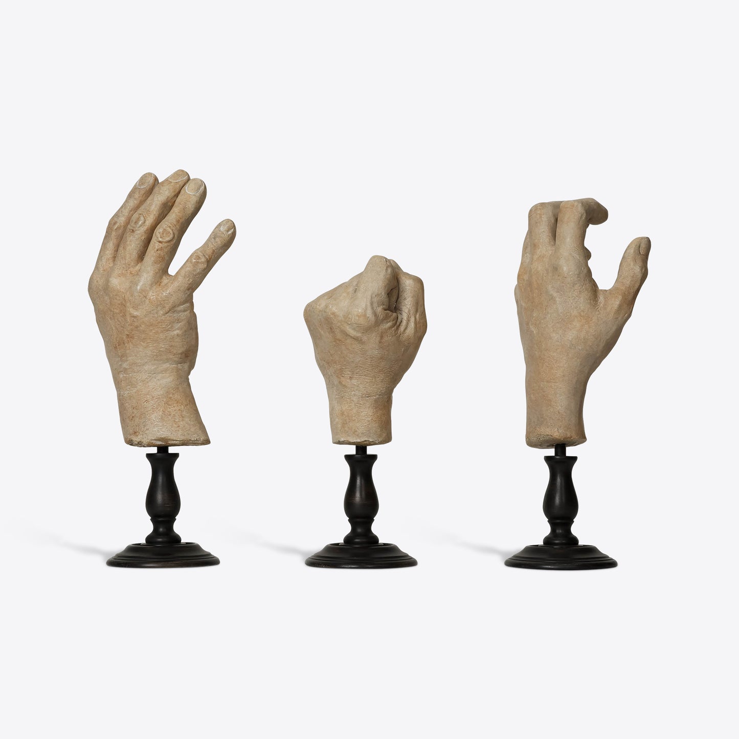 Hand Study Collection