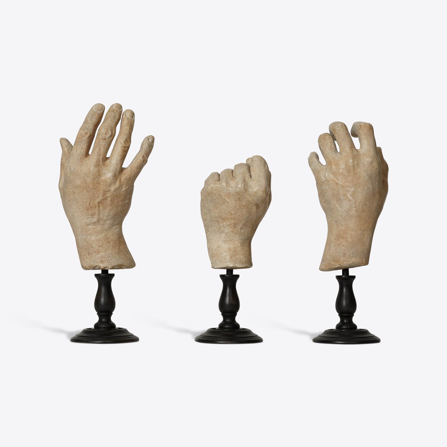 Hand Study Collection