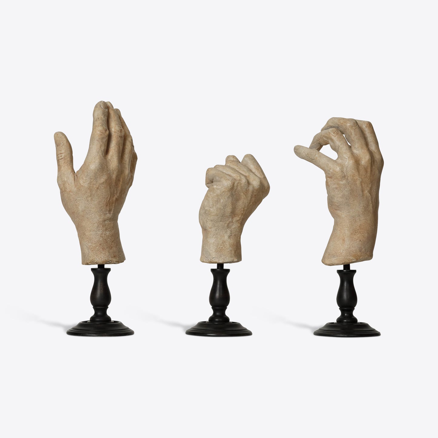 Hand Study Collection