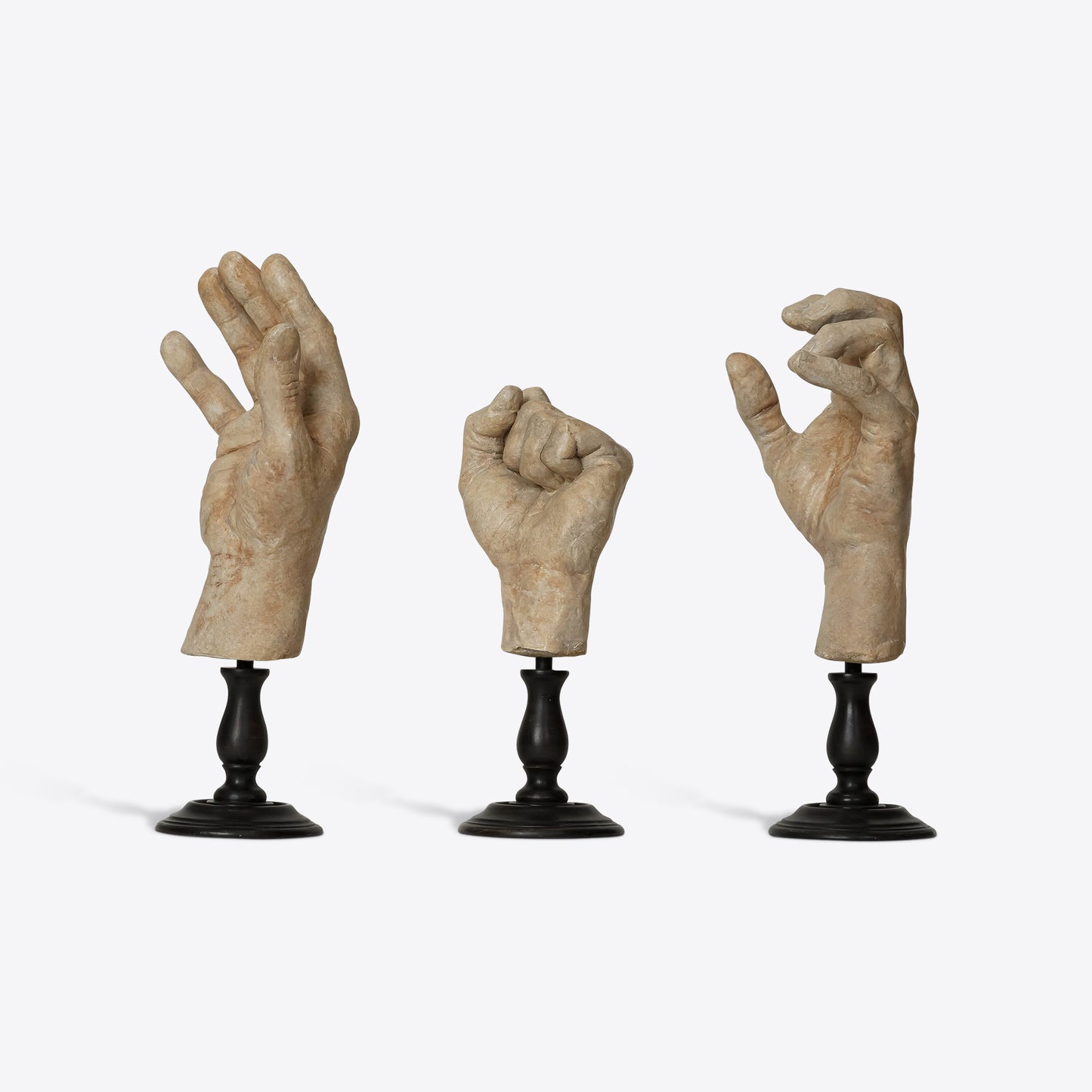 Hand Study Collection