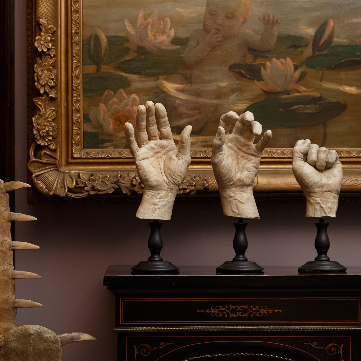 Hand Study Collection