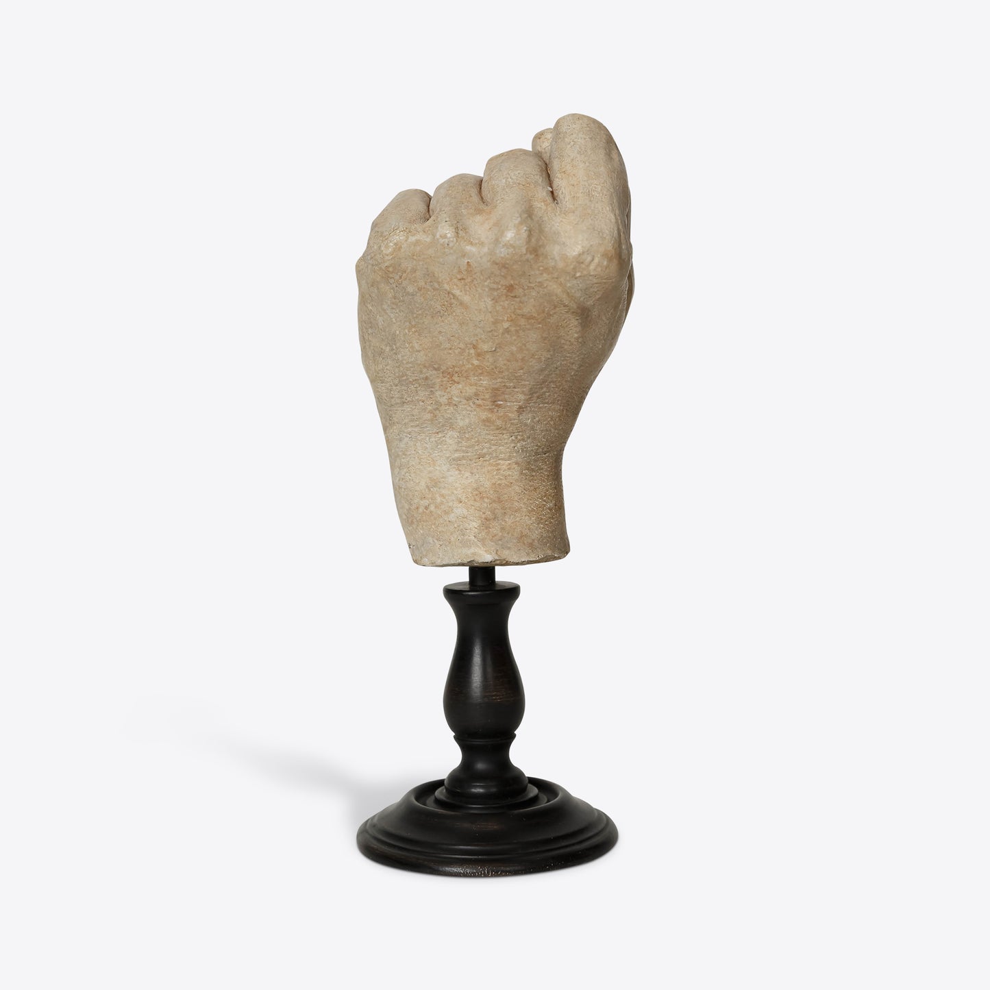 Hand Study Collection