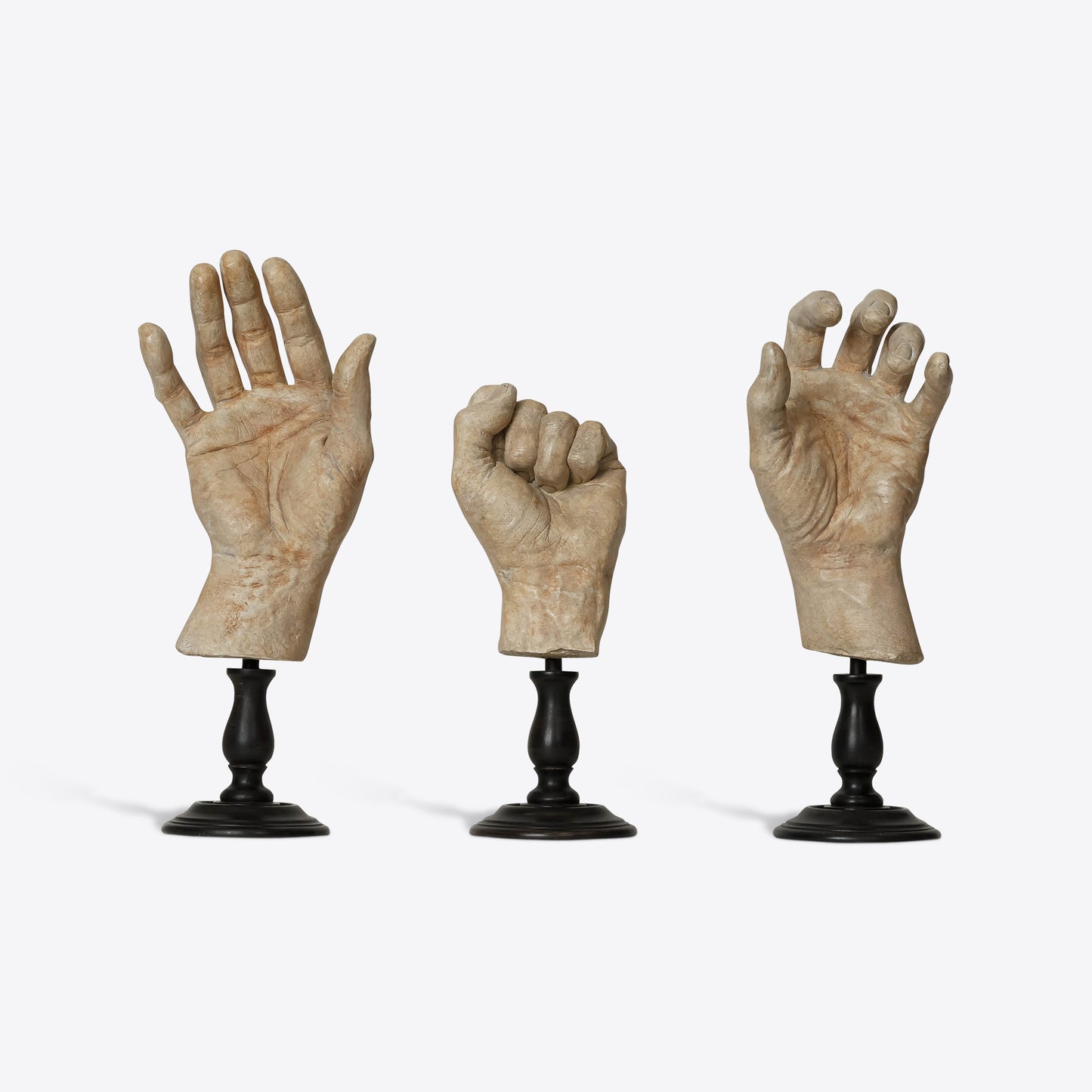Hand Study Collection