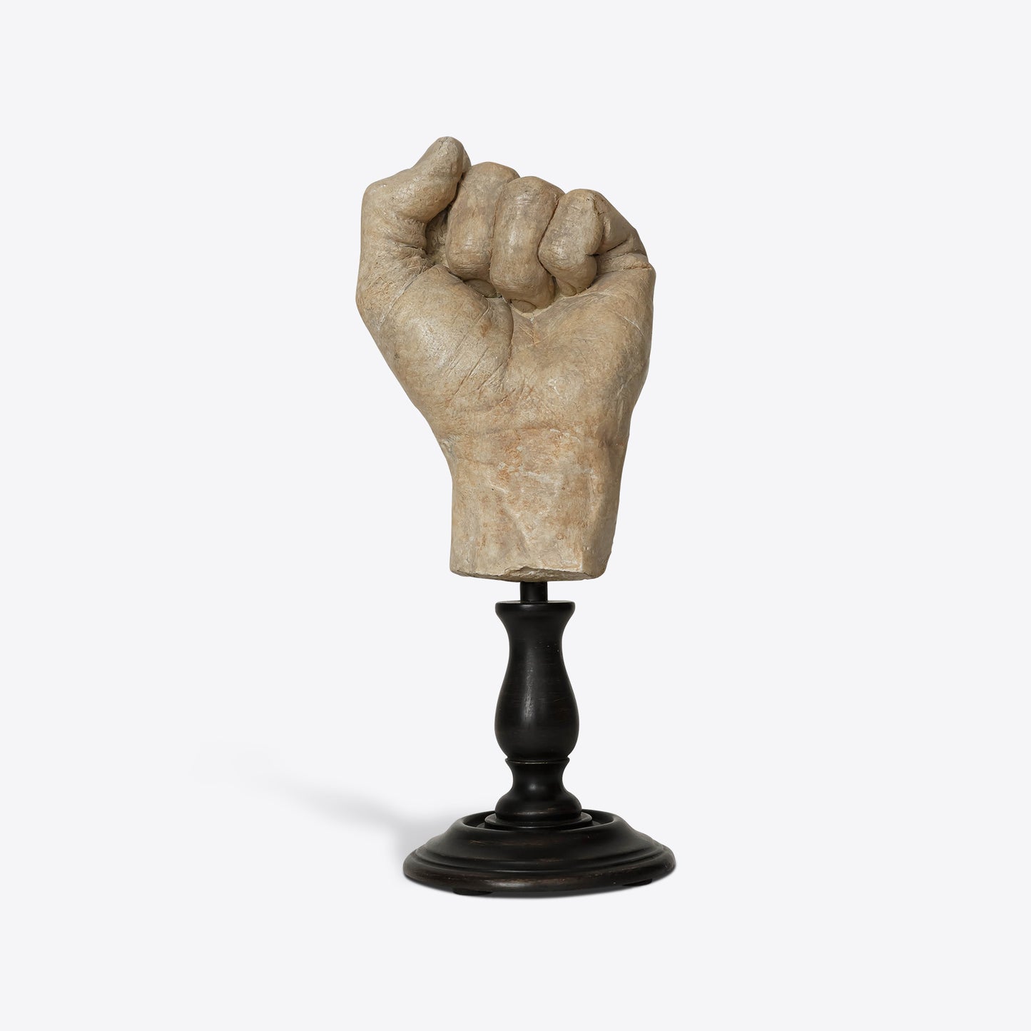Hand Study Collection
